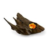 Fair Trade Teak Root Candle Holder - Single » £5.99 - Fair Trade Wooden Carvings
