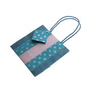 Blue and Silver Gift Bag