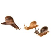Carved Wooden Snails (Set of 3)