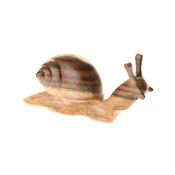 Fair Trade Wooden Snail (Looking up)  » £6.99 - Fair Trade Fathers Day Gifts