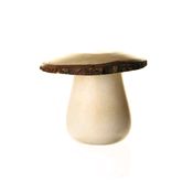 Fair Trade Mini Mushroom Box » £5.99 - Fair Trade Product